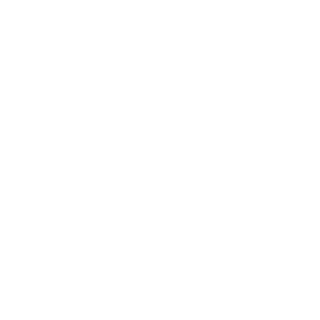 BONE69's emblem