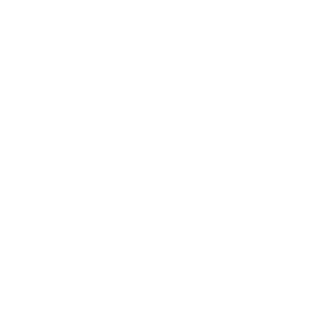 RecklessAXE1999's emblem