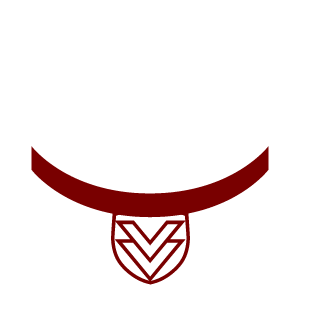 DadiMis's emblem