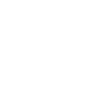 F1NALSLAY's emblem