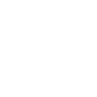 Xeo2k13's emblem