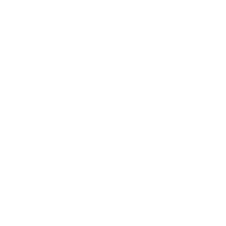 NP4U8008's emblem