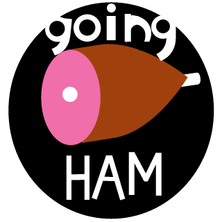 L3git_Turtle's emblem