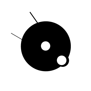 211whitey's emblem