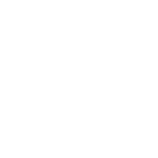 SAMH1102's emblem