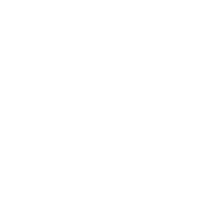 NoahsDay's emblem