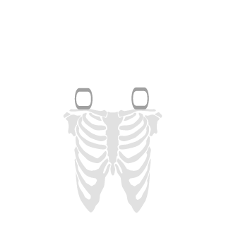 GaldosR's emblem