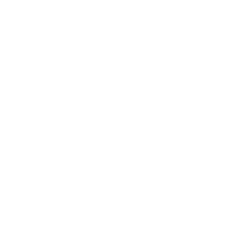 Mr1s44c's emblem