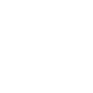 111777van's emblem