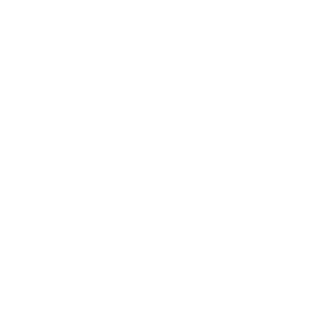 Tor95's emblem