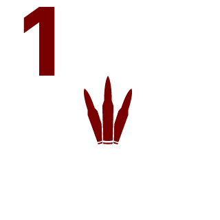 Phatjimmy's emblem