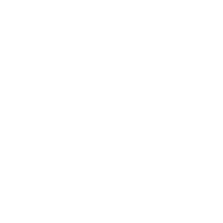 BakwaasPlayer2's emblem