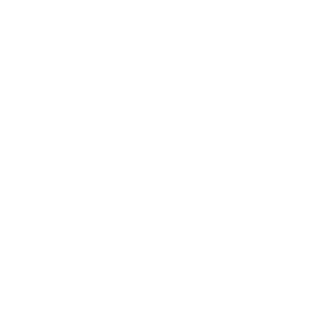 ElDengueCorona's emblem