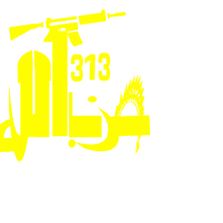 SERAJ313's emblem
