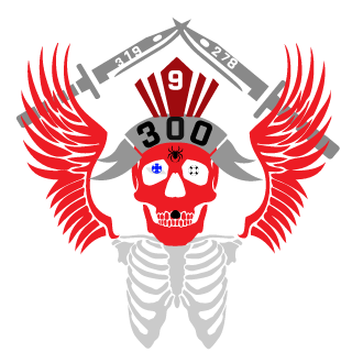 6fc3cf580c740192's emblem