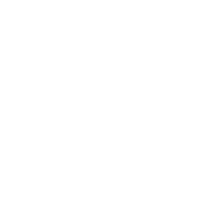 IceWolf8989's emblem
