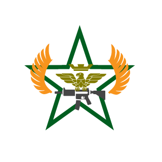raulitowas's emblem