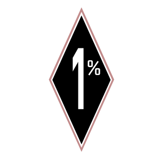 SkinGolem's emblem