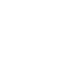 Ahtasan10's emblem