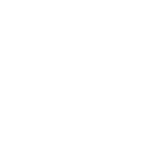 WiserClub7's emblem