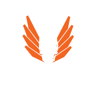TDMdan6's emblem