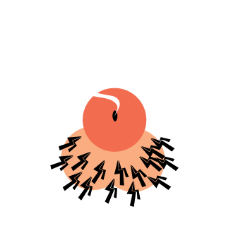 Dr_Grinders's emblem