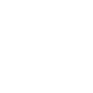 wavelazy's emblem