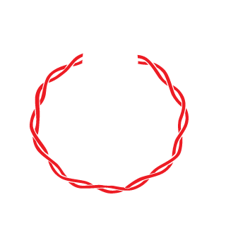 Kraydan17's emblem