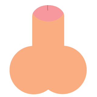 CNLittleOX's emblem