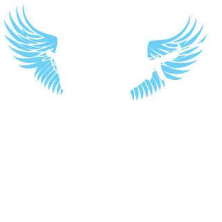 Zhest_1's emblem