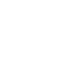 Zzyx01's emblem