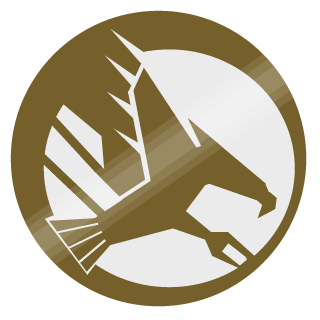 alez989's emblem