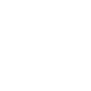 Hyde100's emblem
