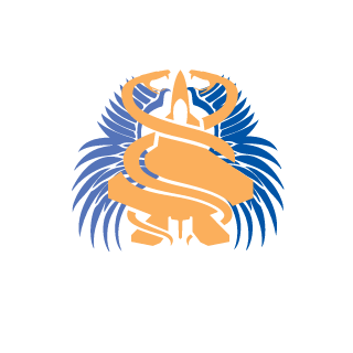 ttvRaptorG's emblem