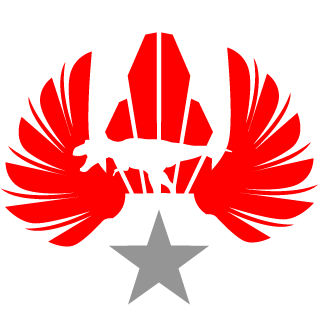 swanksSW's emblem