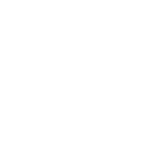 17IR_MAX's emblem