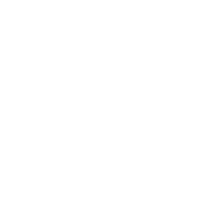 Brightm4st3r's emblem