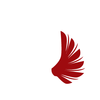 XFJ-01a's emblem