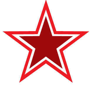 STING13101988's emblem