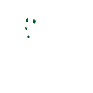 DIDUDY's emblem