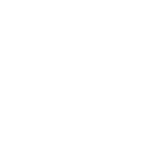 SerpentDash's emblem