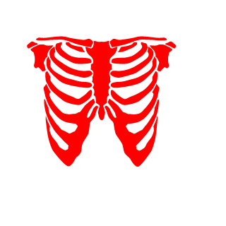HNR_AkramX's emblem