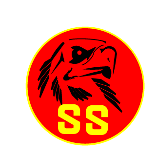 Footbaler80's emblem