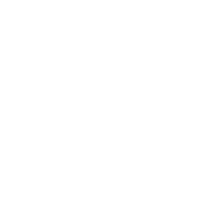 DoD1k21's emblem