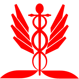 fGrs's emblem