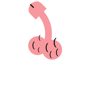 brooklynboyO2's emblem