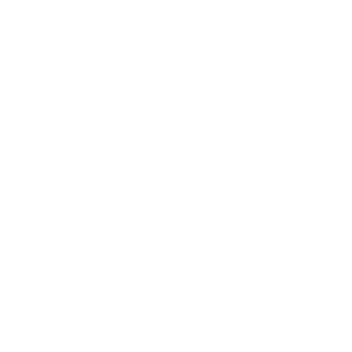 torresvst's emblem