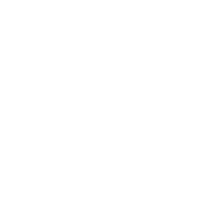 1ar1Valo's emblem