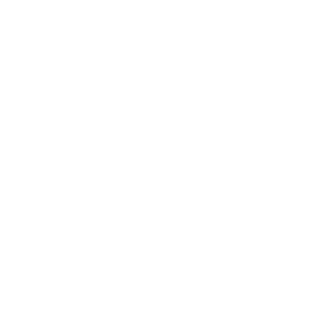 lbn2148828's emblem