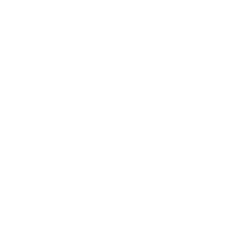 notSillix's emblem